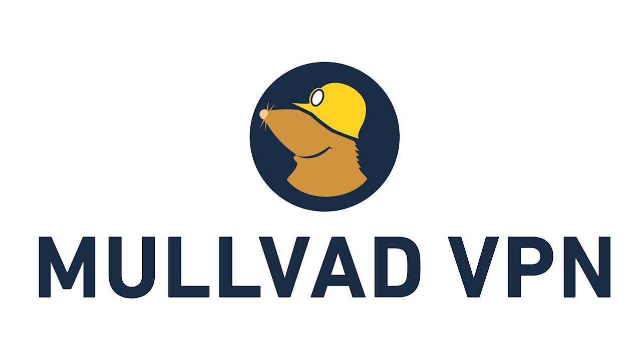 Image for the large product module